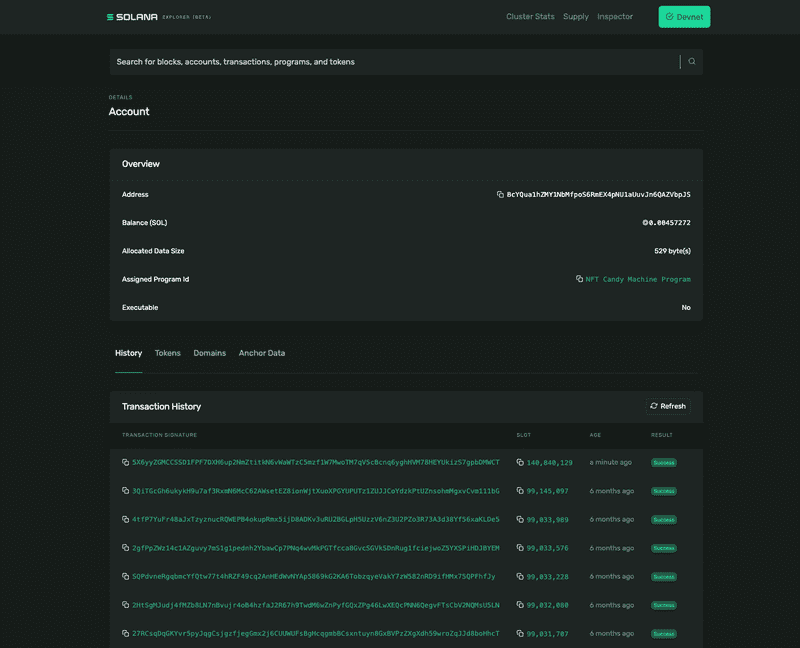 Contract: Solana Explorer Devnet